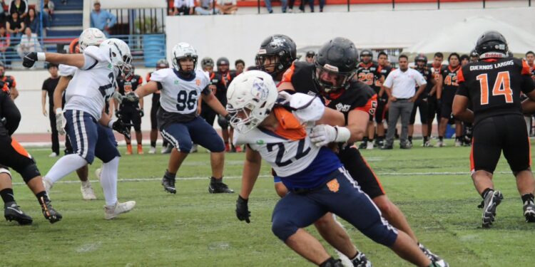 Cuernos Largos y Búfalos volverán a enfrentarse en la final