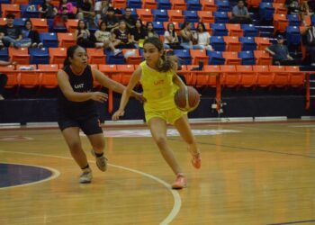 La corona en juego: Abejas contra Búhos en la final femenil de Interfacultades