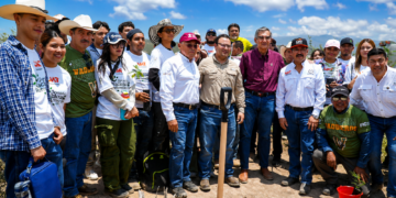 Se suma la UAT a la Jornada Nacional de Reforestación 2026 En Tamaulipas