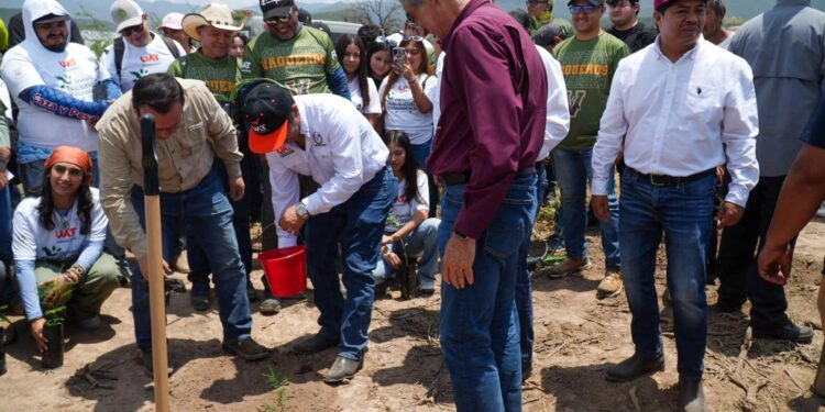 Se suma la UAT a la Jornada Nacional de Reforestación 2026 En Tamaulipas