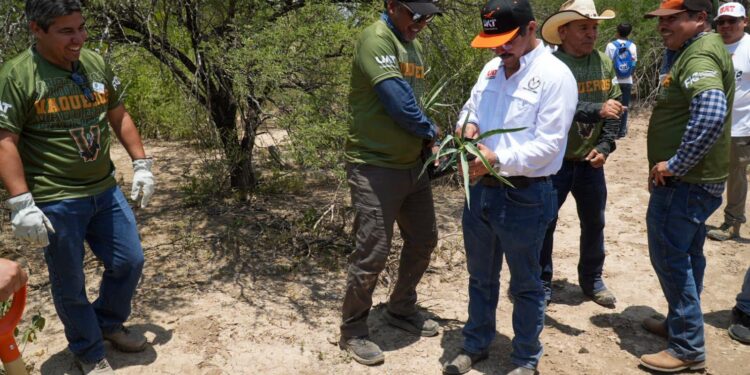 Se suma la UAT a la Jornada Nacional de Reforestación 2026 En Tamaulipas